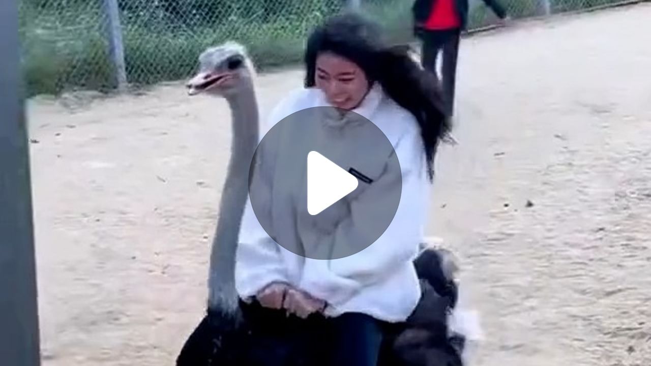 Ostrich Viral Video: পিঠে ‘সওয়ারি’, দৌড় লাগাল উটপাখি