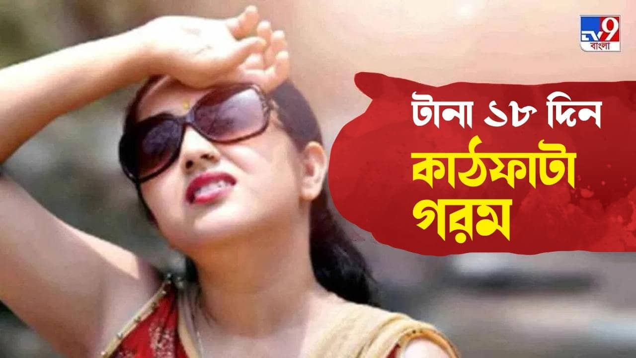 Weather Update : এপ্রিলের ১৮ দিন চাঁদিফাটা গরম, চড়বে বিদ্যুতের বিলের পারদ; চিন্তায় আম-আদমি