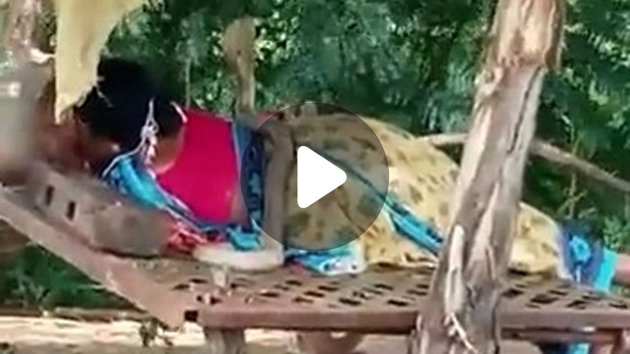 Viral Video: মহিলার উপরে ফণা তুলল কিং কোবরা