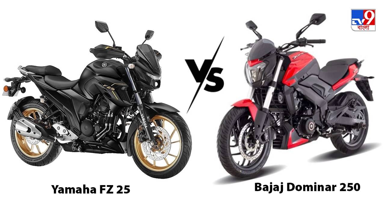 Yamaha FZ25 বনাম Bajaj Dominar 250: বাজারে জোর লড়াইয়ে দুই বাইকই, সেরা কে?
