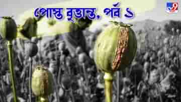 Cultivation of Opium Poppy: হাজার বছর ধরে ভারতে প্রচলিত পোস্ত চাষ, তাহলে এখন কেন এত বিধিনিষেধ?