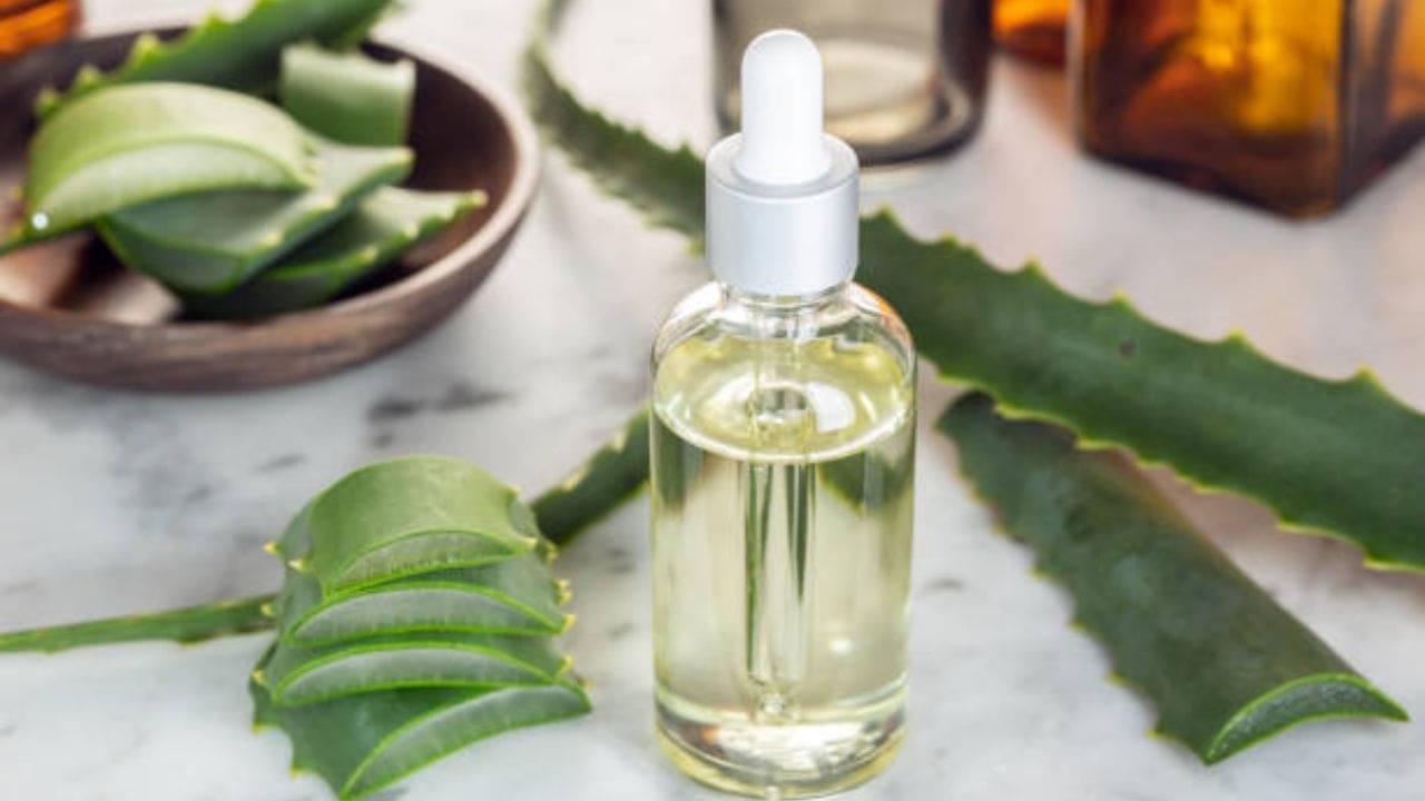Aloe Vera Oil: শ্যাম্পু অথবা হেয়ার জেল নয়, অ্যালোভেরা তেলের ছোঁয়াতেই চুল হবে তরতাজা