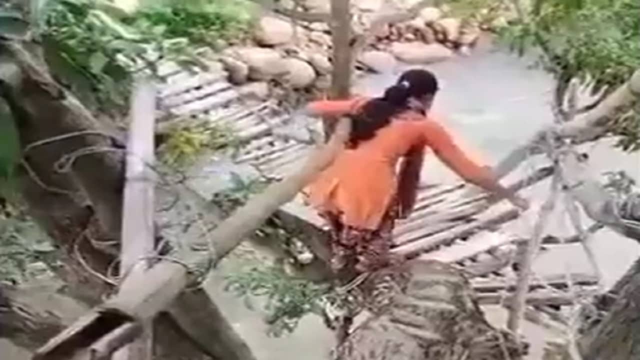 Viral Video: নীচে খরস্রোতা নদী, উপরে স্রেফ একটা গাছকেই ওভারব্রিজ বানিয়ে ফেলল মানুষজন