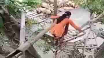 Viral Video: নীচে খরস্রোতা নদী, উপরে স্রেফ একটা গাছকেই ওভারব্রিজ বানিয়ে ফেলল মানুষজন