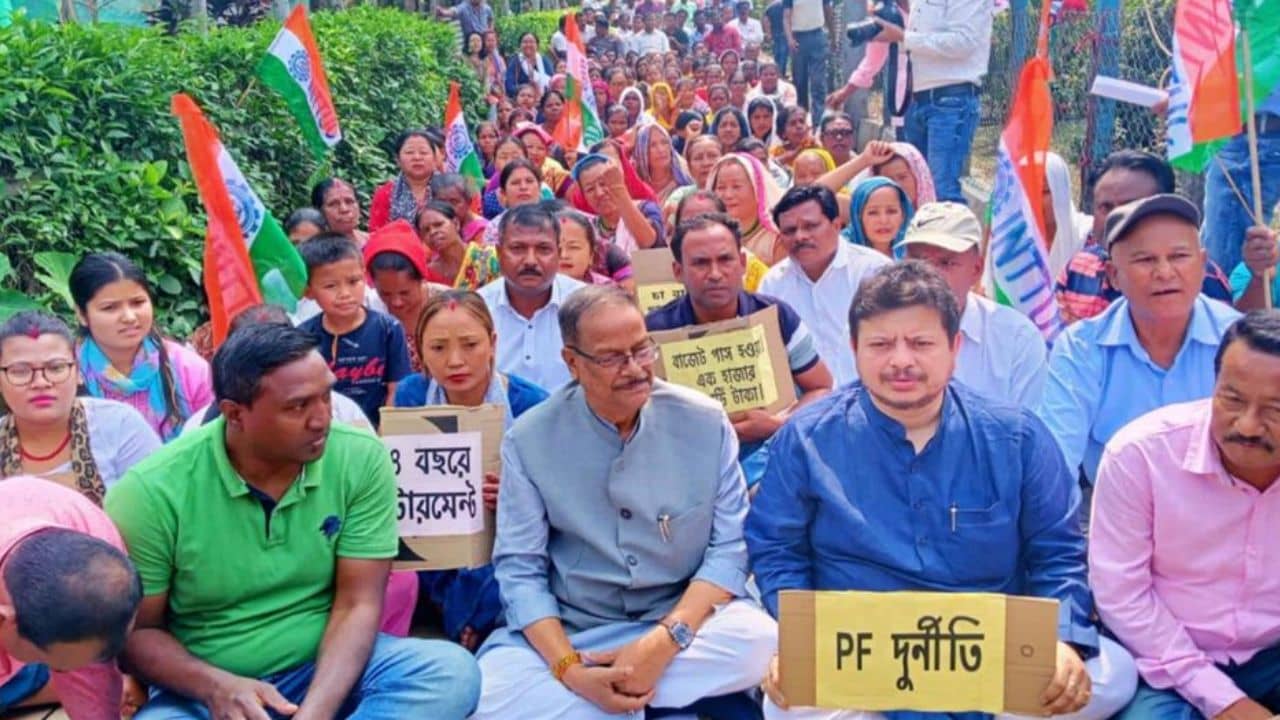 Tea Garden: চা বাগানের সমস্যা মেটাতে ত্রিপাক্ষিক বৈঠকে বসছে রাজ্য, বিধানসভায় জানালেন মলয়