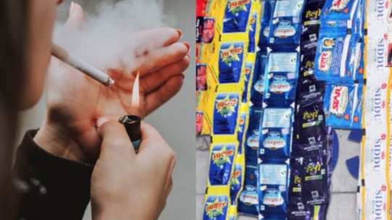 Cigarette Price: ১ এপ্রিল থেকে দাম বাড়বে সিগারেট, গুটখার
