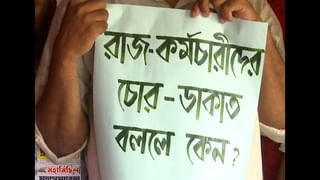 TET Protest : টেটের ধরনা মঞ্চে নকল মমতা, ‘আসল চাই’, ডামি মুখ্যমন্ত্রীর সামনে লাগাতার চলল স্লোগান