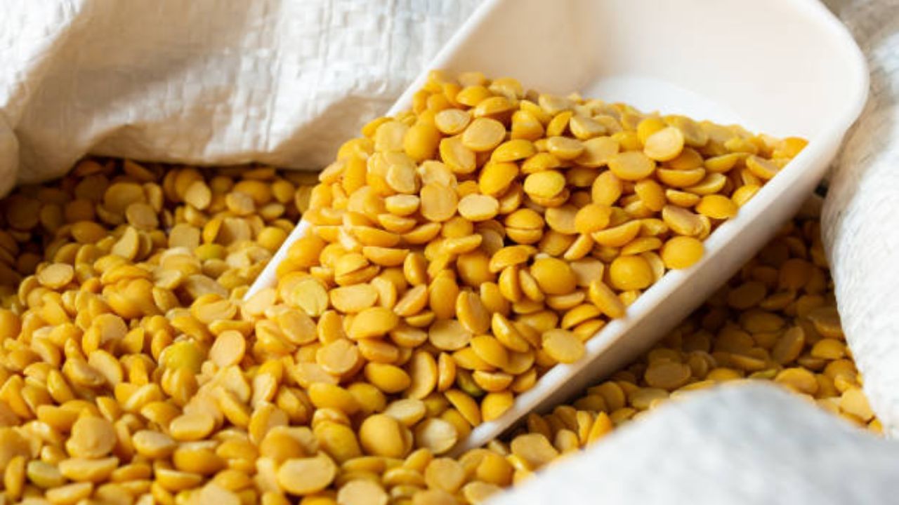 Soaking Dal Before Cooking: দ্রুত ডাল গলবে আর বাড়বে পুষ্টি, যদি রান্নার শুরুর আগে এই কাজ সারেন