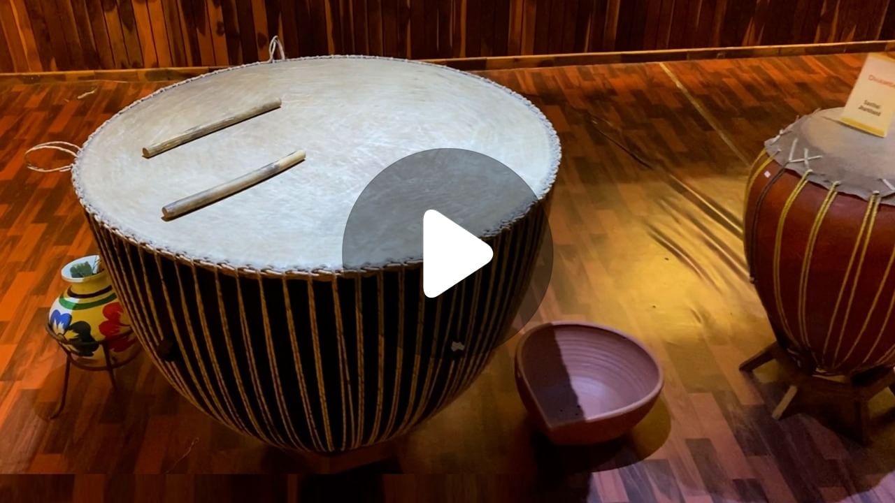 Dhak Museum ঢাকের আওয়াজ চড়াম চড়াম নাকি অন্যরকম, বুঝতে পারবেন এই