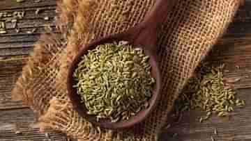 Fennel Seed: দই-বেসন কিংবা হলুদ নয়, মৌরির তৈরি এই ফেসপ্যাকেই উপচে পড়বে লাবণ্য