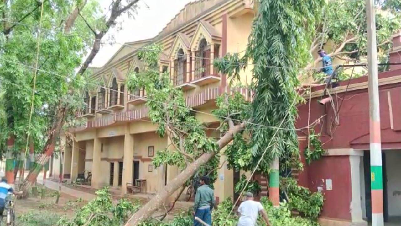 Bankura School: ঝড়ে গাছ ভেঙে বিদ্যুৎহীন স্কুল, পরিস্থিতির সামাল দিতে জেনারেটরের ব্যবস্থা