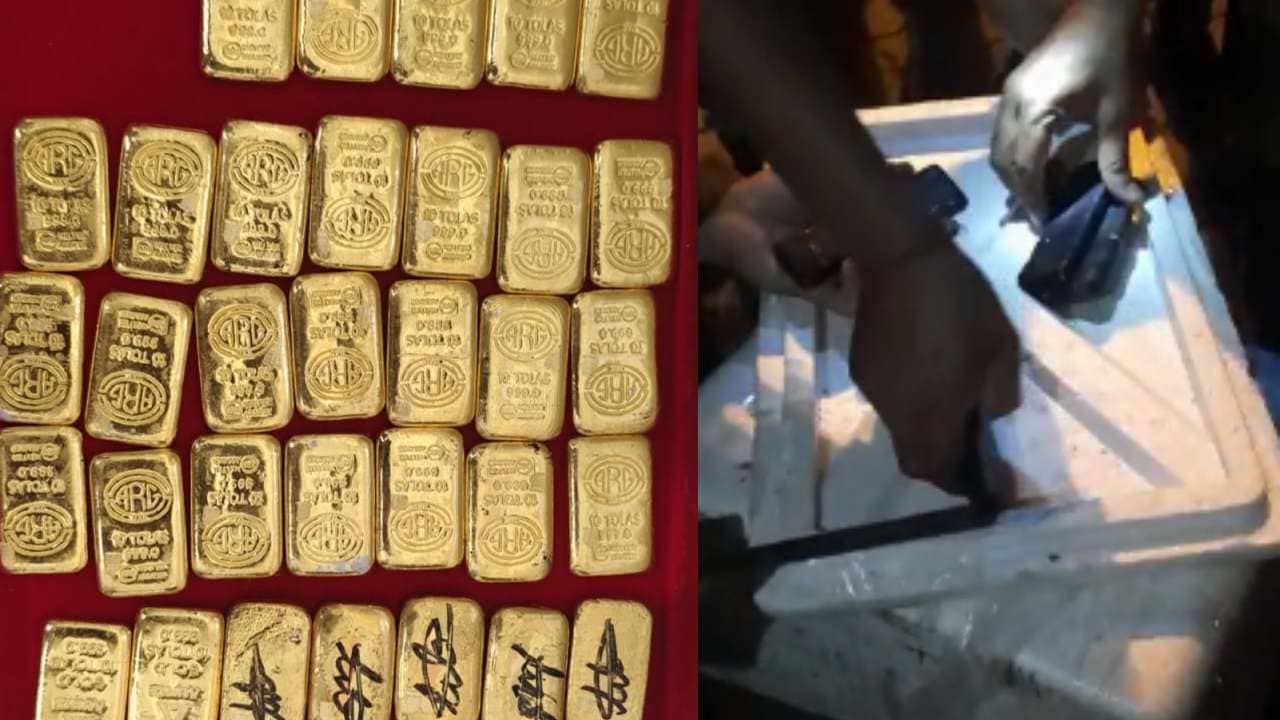 Gold Smuggling: মাছ বোঝাই লরিতে সোনার খনি,  থার্মোকল সরাতেই চক্ষু চড়কগাছ BSF-র
