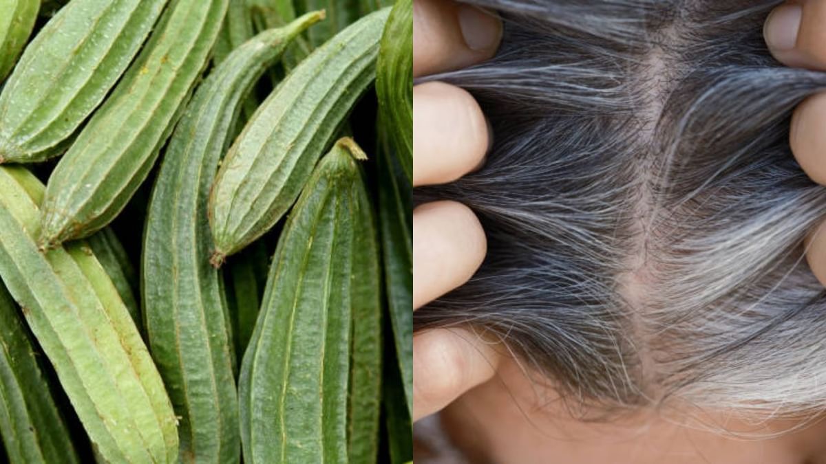 Home Remedies for Grey Hair: মাথাভর্তি পাকা চুল কালো করুন মিনিটের মধ্যে, হেয়ার কালার ছেড়ে ঝিঙের সাহায্য নিন