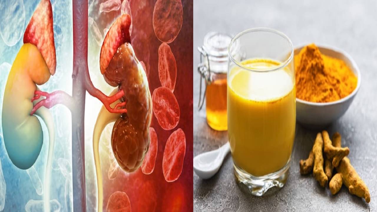 Kidney Health: এই ৫ আয়ুর্বেদিক ভেষজ নিয়মিত খেলে কিডনি থেকে যাবতীয় টক্সিন বেরিয়ে আসবে, রক্ত দ্রুত পরিশোধিত হবে