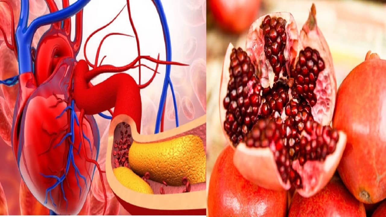 Pomegranate Health Benefits: শরীরের যাবতীয় ময়লা দূর করে স্নায়ু সবল করতে একঘর এই ফল, জানুন কী ভাবে খাবেন