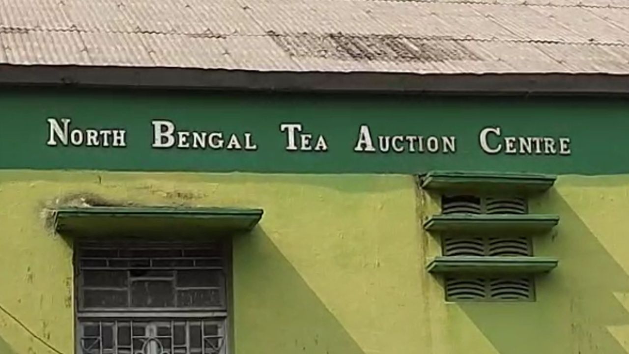 Tea Auction Centre: আইসিইউ থেকে চা নিলাম কেন্দ্রকে বাঁচাতে নতুন করে তৎপরতা, তৈরি হচ্ছে বিশেষ কমিটি