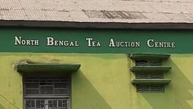 Tea Auction Centre: আইসিইউ থেকে চা নিলাম কেন্দ্রকে বাঁচাতে নতুন করে তৎপরতা, তৈরি হচ্ছে বিশেষ কমিটি Tea Auction Centre: আইসিইউ থেকে চা নিলাম কেন্দ্রকে বাঁচাতে নতুন করে তৎপরতা, তৈরি হচ্ছে বিশেষ কমিটি