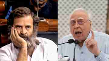 Kapil Sibal on Rahul Gandhi: রাহুলের সাংসদ পদ খোয়ানো উচিত, আইনি ব্যাখ্যা দিলেন বর্ষীয়ান আইনজীবী কপিল সিবল