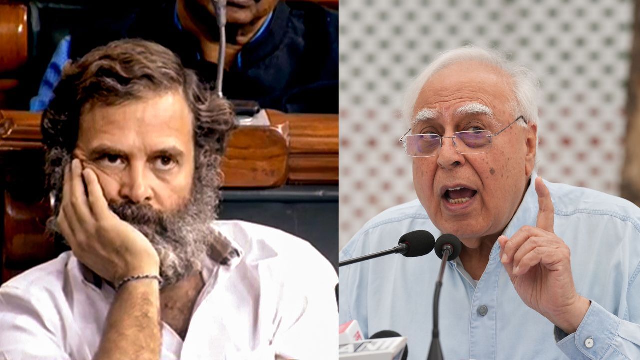 Kapil Sibal on Rahul Gandhi: 'রাহুলের সাংসদ পদ খোয়ানো উচিত', আইনি ব্যাখ্যা দিলেন বর্ষীয়ান আইনজীবী কপিল সিবল