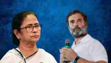 TMC on Congress: কংগ্রেস বিগ বস নয়, একলা চলার ক্ষমতা রাখি: তৃণমূল