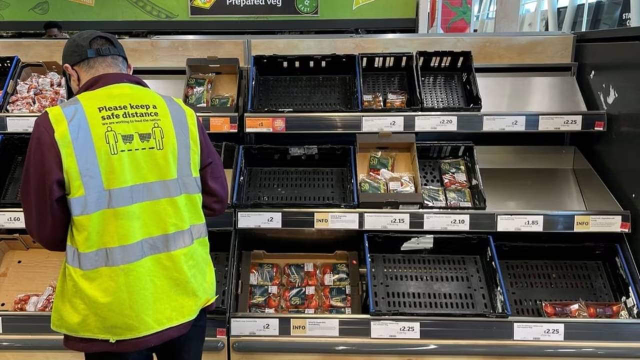 Salad Crisis: সব্জির অভাব! স্যালাড খেতে পারছেন না ব্রিটেনবাসী