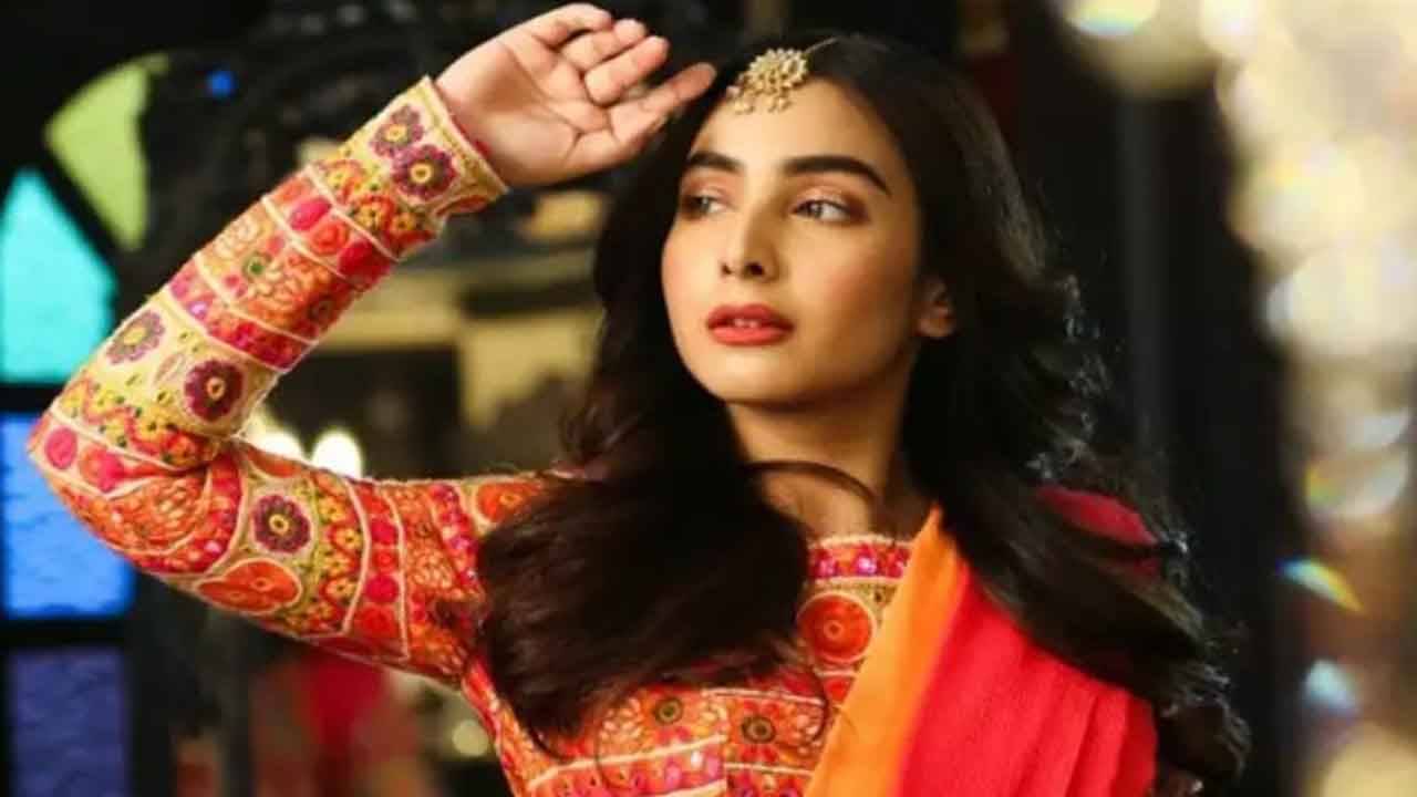 Srijla Guha: নতুন সিরিয়ালে সৃজলা; চেনা পিহু এখন পাইস হোটেলের কেন্দ্রে