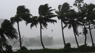 Canning: স্ত্রী’কে চড় মারার শাস্তি! জামাইকে মেরে হাত-পা বেঁধে দেওয়ার অভিযোগ শ্বশুরবাড়ির বিরুদ্ধে