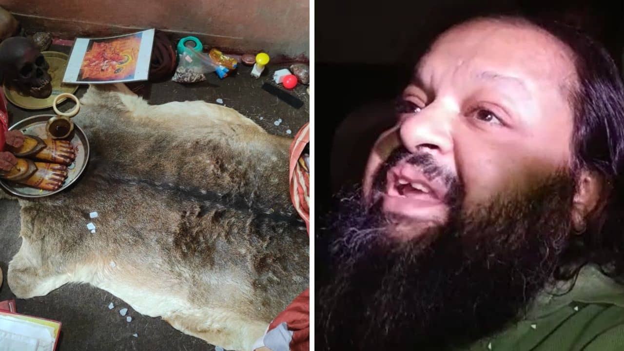 Dumdum Tantrik: মানুষের খুলি, হরিণের কঙ্কাল, বাঘের ছাল! দমদমে তান্ত্রিকের বাড়িতে গিয়ে চক্ষু চড়কগাছ বন দফতরের