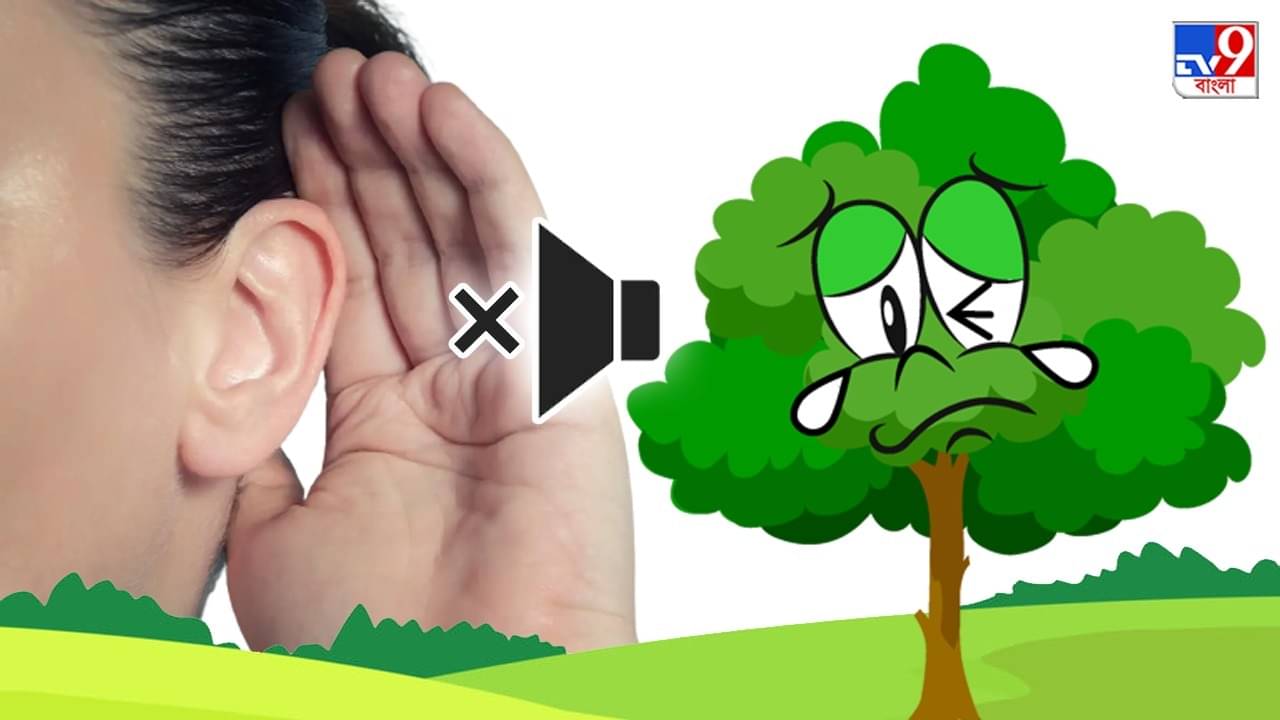 Plants Ultrasonic Sounds: আঘাতে আর অবহেলায় গাছও কাঁদে হাউ-হাউ করে! কানে যায় না আপনার: সমীক্ষা