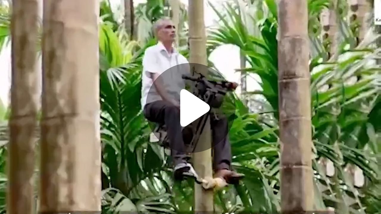 Tree Climbing Scooter: স্কুটারে চেপে তরতর করে উঠে যাওয়া যাচ্ছে গাছে, সোশ্যাল মিডিয়ায় ভাইরাল ভিডিয়ো