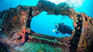 Underwater Museum: জলের তলায় আস্ত জাদুঘর! বঙ্গোপসাগরের বুকেই রয়েছে ভারতের প্রথম আন্ডারওয়াটার মিউজিয়াম