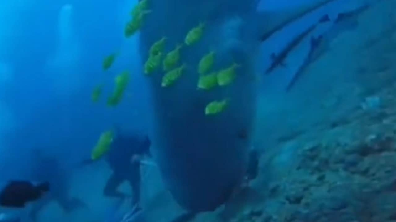 Viral Video: সমুদ্রের অতলে বিরাট হাঙরের সামনে পড়ল ডুবুরির দল, তারপর যা হল...