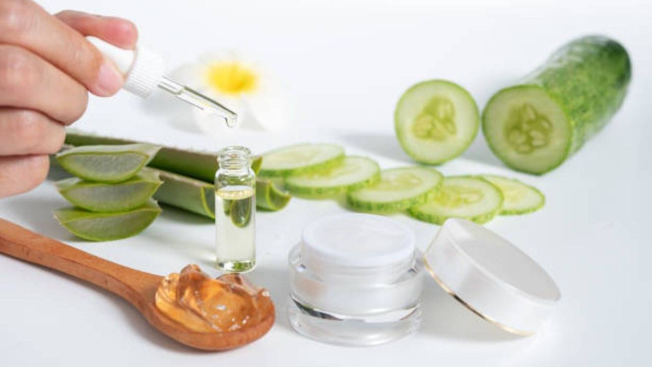 Summer Cool Face:  দগ্ধ দিনে ত্বকে সতেজতা আনবে শসা ও অ্যালোভেরার রস, বানিয়ে নিন টোনার ও ফেসপ্যাক