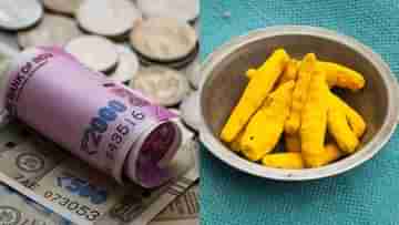 Turmeric Remedies for Financial Crisis: ঋণে জর্জরিত? হলুদের এই প্রতিকারগুলো করলে কেটে যাবে সমস্ত বাধা-বিপত্তি