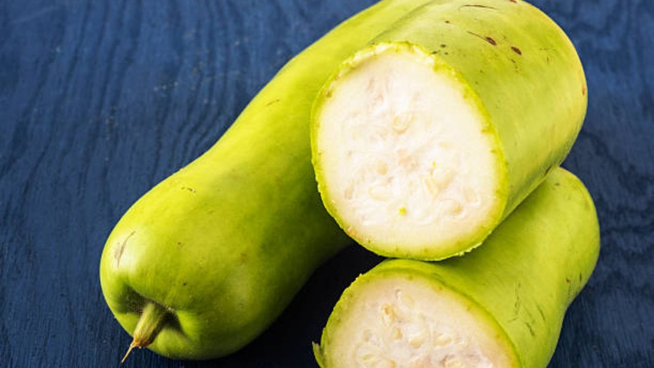 Bottle Gourd Benefits গরম পড়তে পেটের গোলমাল লেগে রয়েছে? এই আনাজের