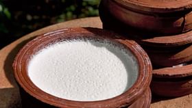 Curd With Salt And Sugar: চিনি নাকি নুন কীভাবে খাবেন টকদই? Curd With Salt And Sugar: চিনি নাকি নুন কীভাবে খাবেন টকদই?