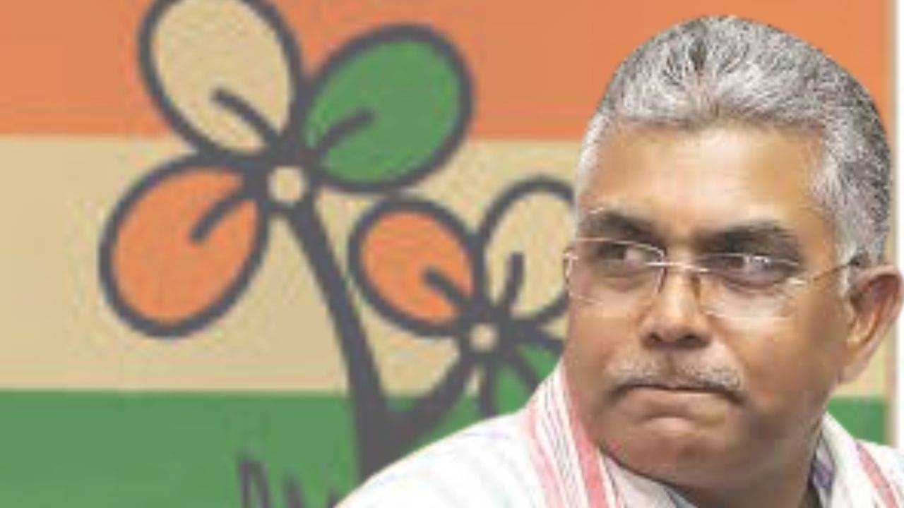 Dilip Ghosh on TMC: প্রধানমন্ত্রী হওয়ার স্বপ্নে মুলতুবি, কটাক্ষ দিলীপের
