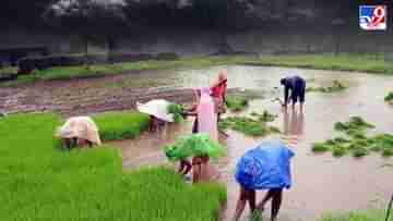 El Nino in India: শিয়রে ‘শত্রু’ এল নিনো, কোন ‘বন্ধু’র ভরসায় স্বাভাবিক বর্ষার ইঙ্গিত দেশে?