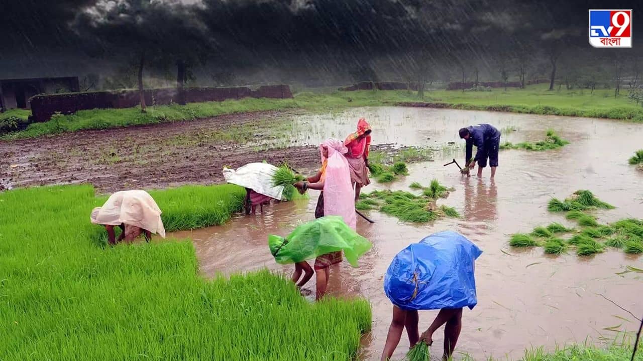 El Nino in India: শিয়রে ‘শত্রু’ এল নিনো, কোন ‘বন্ধু’র ভরসায় স্বাভাবিক বর্ষার ইঙ্গিত দেশে?