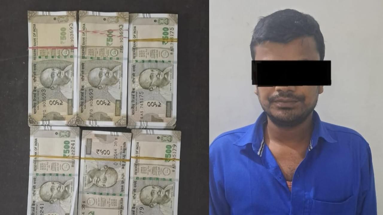 Fake Currency: বাসস্ট্যান্ডে দাঁড় করিয়ে তল্লাশিতেই চক্ষু-চড়কগাছ এসটিএফ-র, উদ্ধার প্রায় ৩ লক্ষ টাকার জালনোট