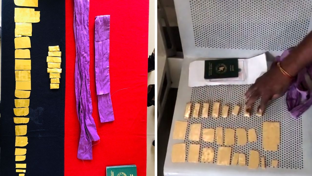 BSF seized Gold: ২ হাজার টাকা পেতে বয়ে নিয়ে যাচ্ছিলেন ১ কোটি ৩০ লক্ষ টাকার সোনা!