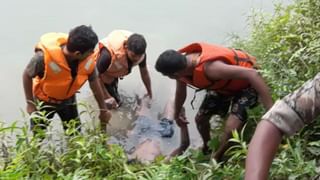 Dog attacks deer: জঙ্গল থেকে লোকালয়ে হরিণ, ঝাঁপিয়ে পড়ল কুকুরের দল