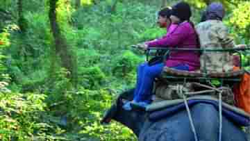 Jungle Safari Bengal: জঙ্গল সাফারিতে এবার করতে হবে বিমা! দেশের মধ্যে বাংলাতেই বড় এই সিদ্ধান্ত