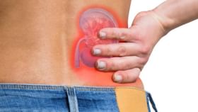 Kidney diseases: কিডনিতে পাথর হয়েছে? আয়ুর্বেদের সাহায্যে দূরে রাখুন সংক্রমণ Kidney diseases: কিডনিতে পাথর হয়েছে? আয়ুর্বেদের সাহায্যে দূরে রাখুন সংক্রমণ