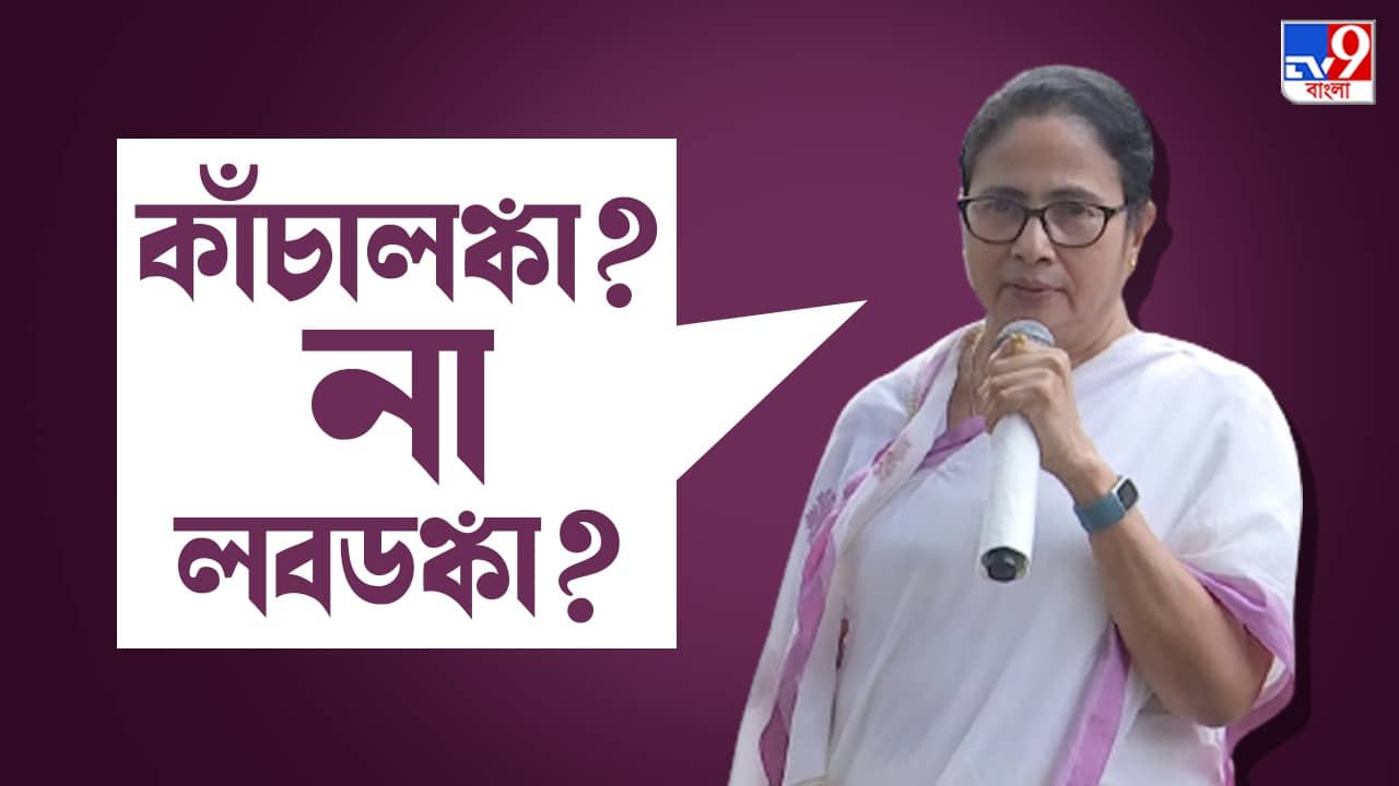 Mamata Banerjee: ফ্যাক্ট ফাইন্ডিং টিম খায় না মাথায় দেয়? প্রশ্ন মমতার