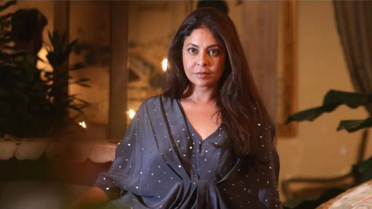 Shefali Shah Struggle: ভিড়ের মাঝে অশ্লীল স্পর্শ, মানসিকভাবে ভেঙে পড়েন শেফালি