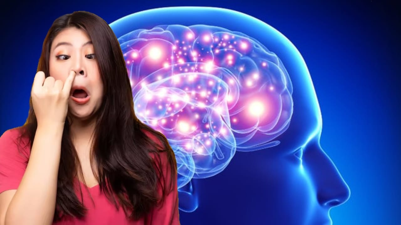 Alzheimer's disease: নাক খুঁটলে ক্ষতি মস্তিষ্কের, হারাতে পারে স্মৃতি; দাবি গবেষণায় Alzheimer's disease: নাক খুঁটলে ক্ষতি মস্তিষ্কের, হারাতে পারে স্মৃতি; দাবি গবেষণায়