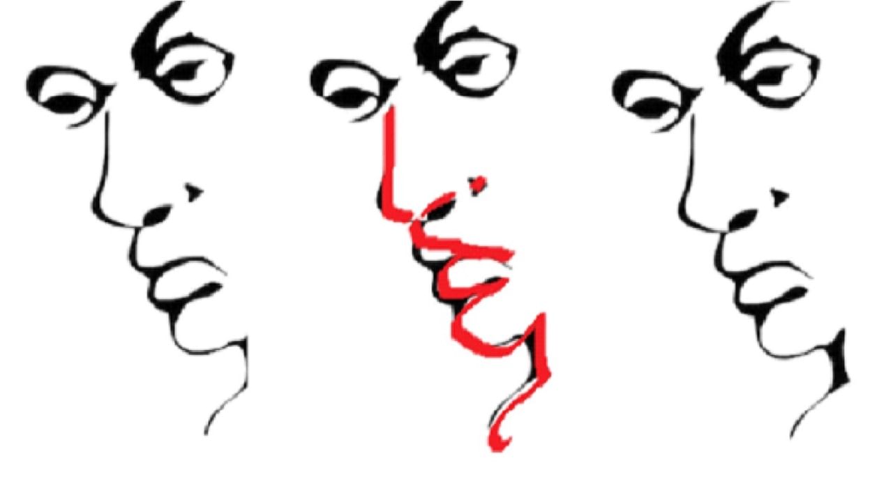 Optical Illusion Man's Face