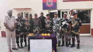 BSF: ভোররাতে পঞ্জাবের সীমান্ত এলাকায় ‘পাক’ ড্রোনের হানা, উদ্ধার প্রচুর হেরোইন