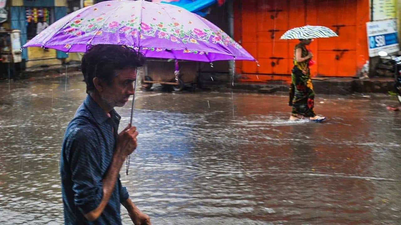 Rain Forecast: ৩ দিন পরই আসছে বৃষ্টি, কবে কোন জেলায়, তারিখ ধরে জানিয়ে দিলেন আবহাওয়াবিদরা